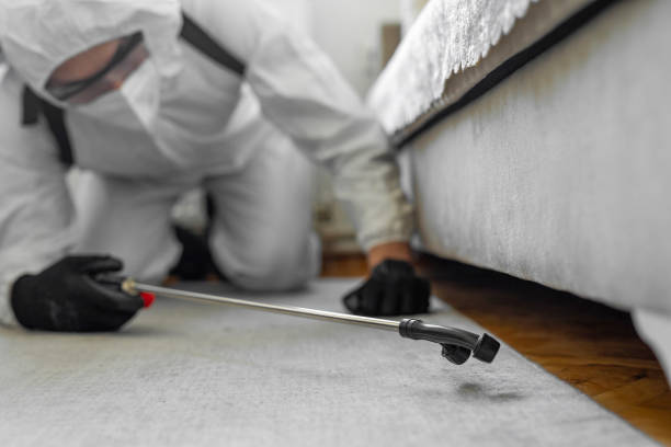 Professional Bed Bug Control technician working in Eastvale, CA